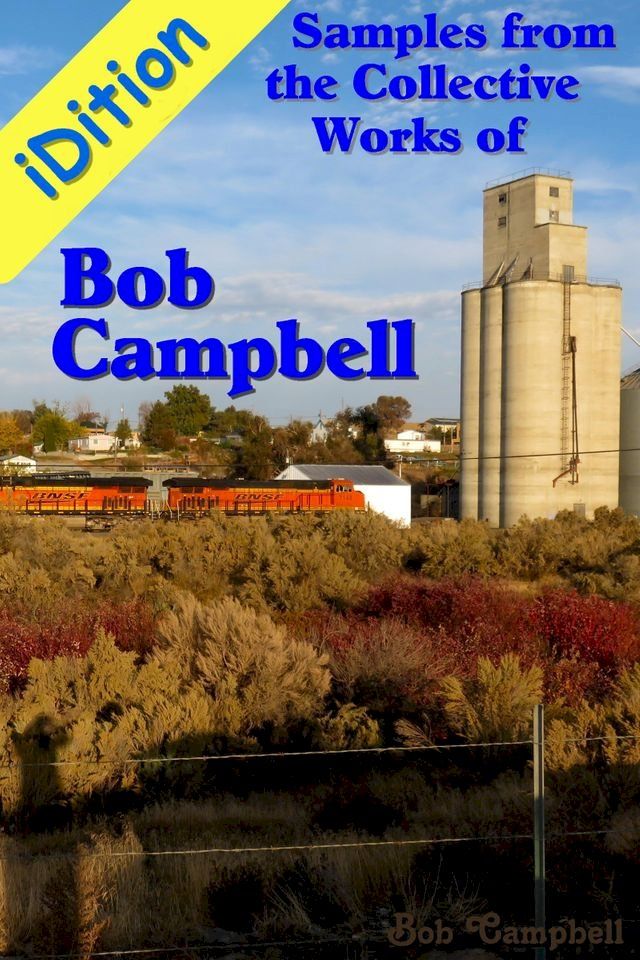  iDition: Samples from the Collective Works of Bob Campbell(Kobo/電子書)