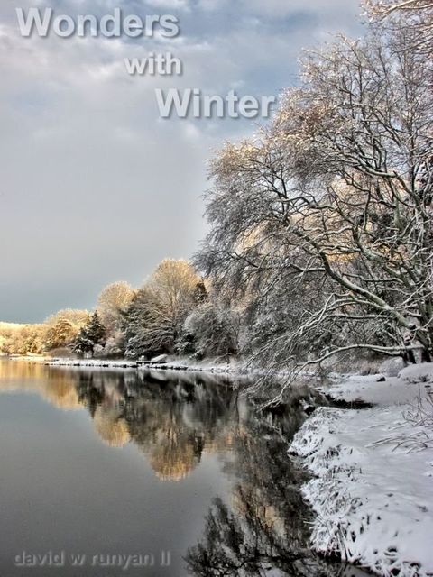 Wonders with Winter(Kobo/電子書)