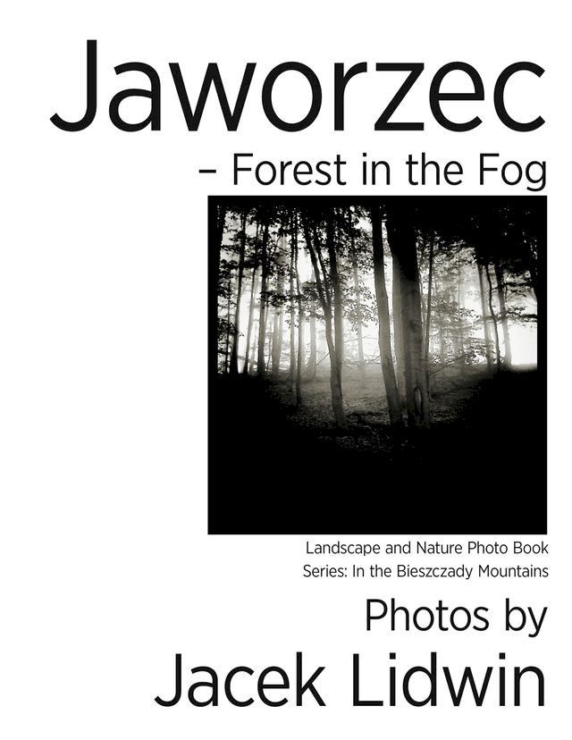  Jaworzec: Forest in the Fog. Landscape and Nature Photo Book(Kobo/電子書)