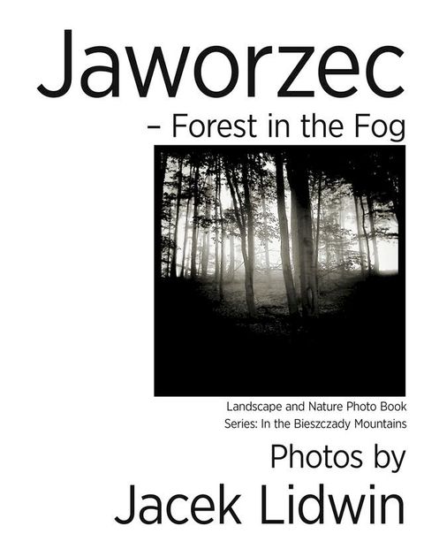 Jaworzec: Forest in the Fog. Landscape and Nature Photo Book(Kobo/電子書)