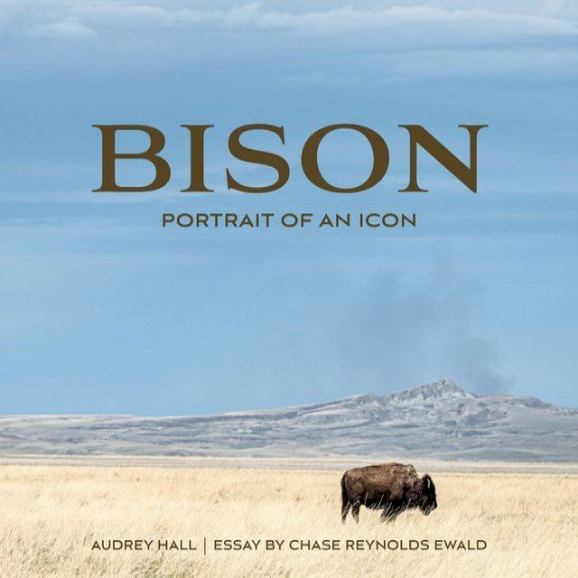  Bison(Kobo/電子書)