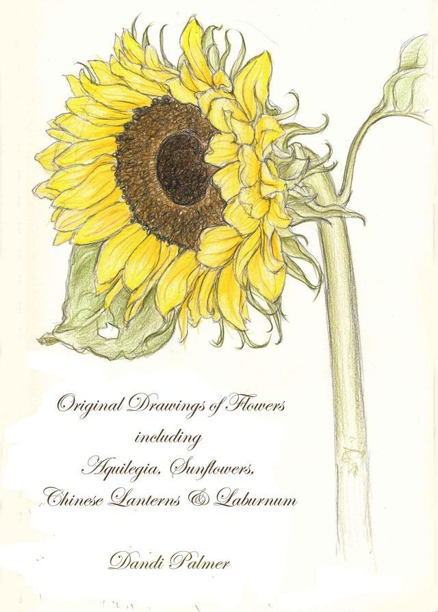  Original Drawings of Flowers Including Aquilegia, Sunflowers, Chinese Lanterns and Laburnum(Kobo/電子書)