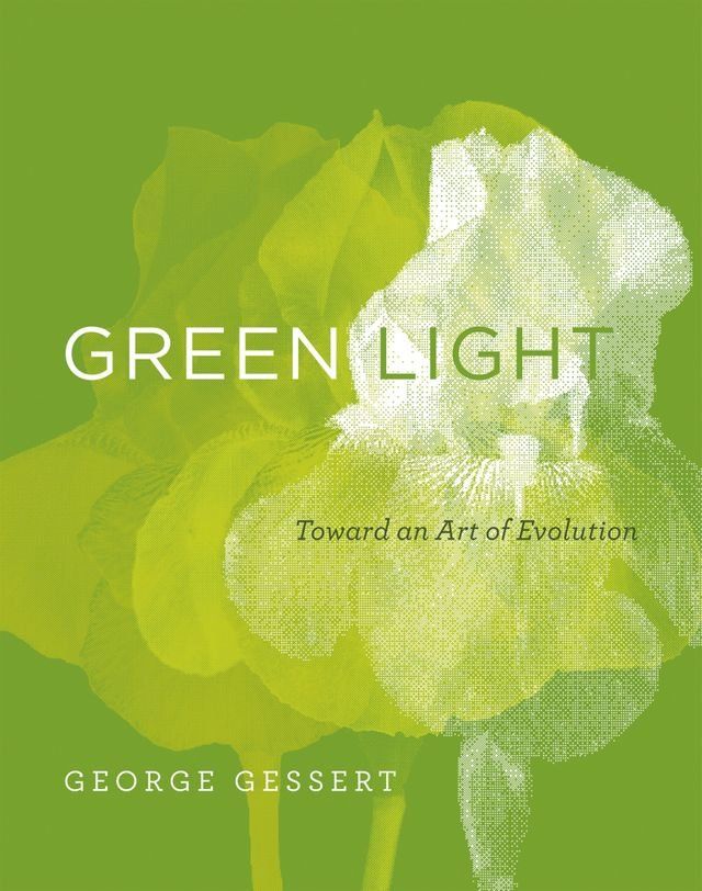  Green Light(Kobo/電子書)