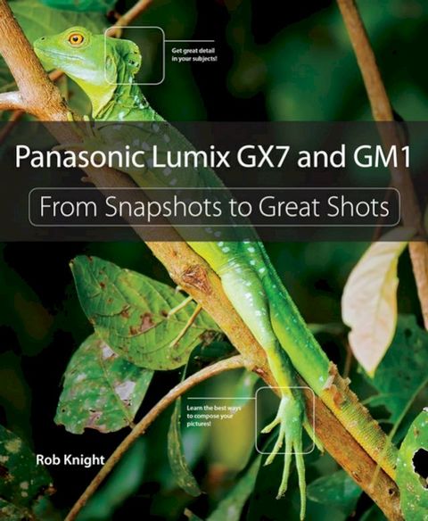 Panasonic Lumix GX7 and GM1(Kobo/電子書)