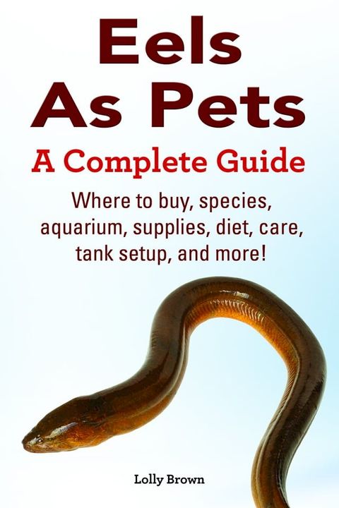 Eels As Pets. Where to buy, species, aquarium, supplies, diet, care, tank setup, and more! A...