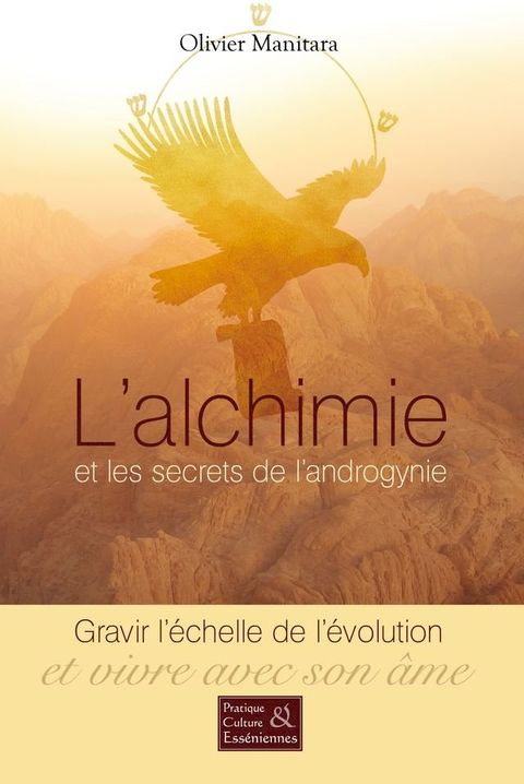 L'alchimie et les secrets de l'androgynie(Kobo/電子書)