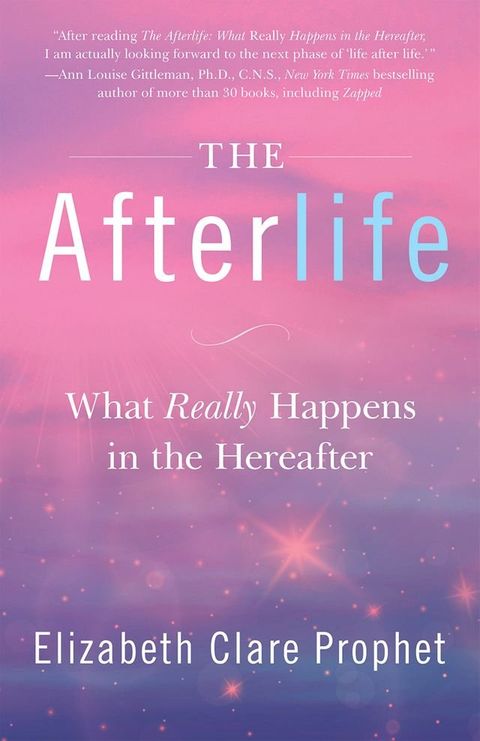 The Afterlife(Kobo/電子書)