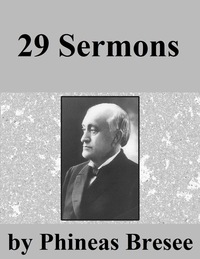  29 Sermons(Kobo/電子書)