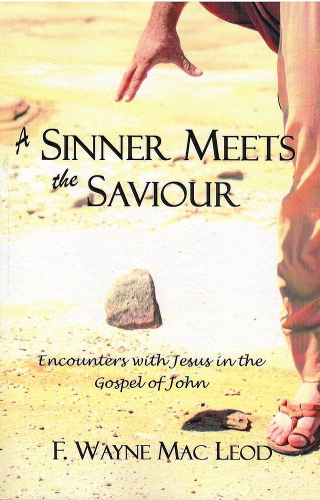  A Sinner Meets the Saviour(Kobo/電子書)