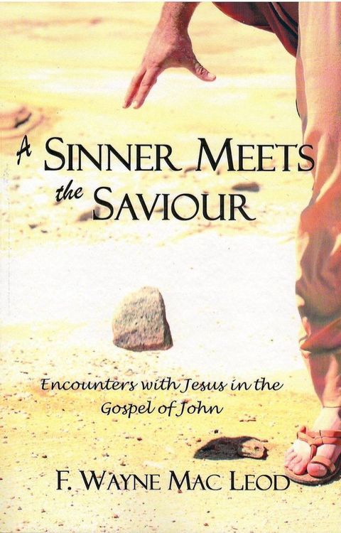 A Sinner Meets the Saviour(Kobo/電子書)