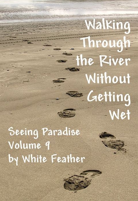 Seeing Paradise, Volume 9: Walking Through the River Without Getting Wet(Kobo/電子書)