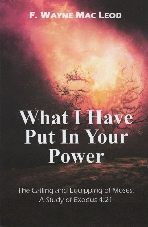 What I Have Put in Your Power(Kobo/電子書)