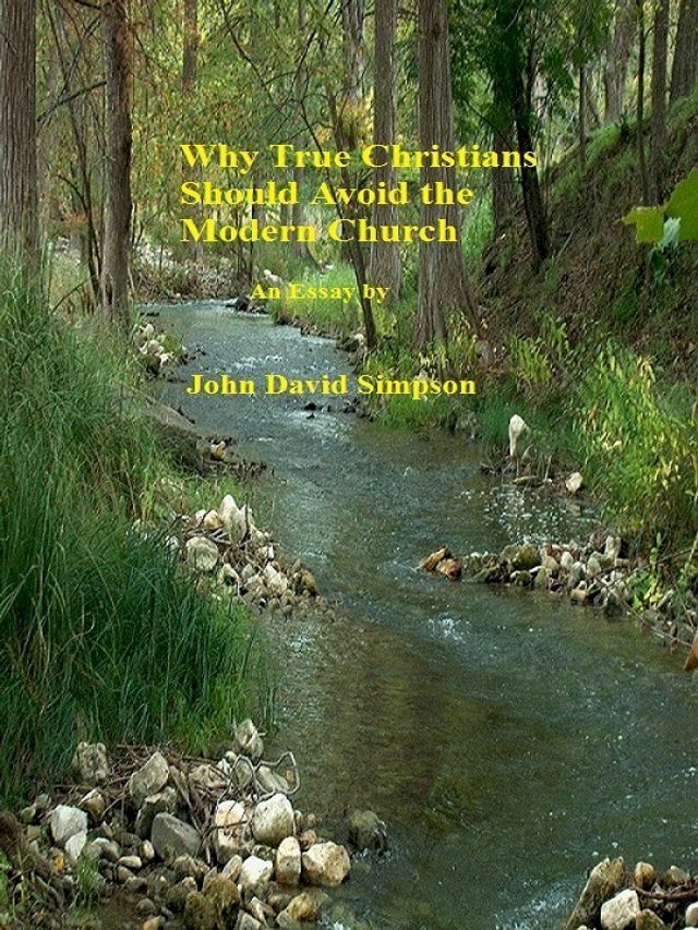  Why True Christians Should Avoid The Modern Church(Kobo/電子書)