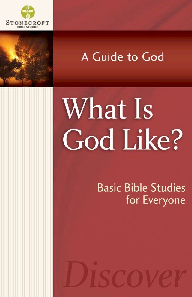  What is God Like?(Kobo/電子書)