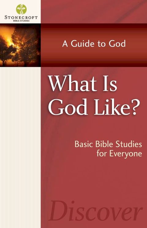 What is God Like?(Kobo/電子書)