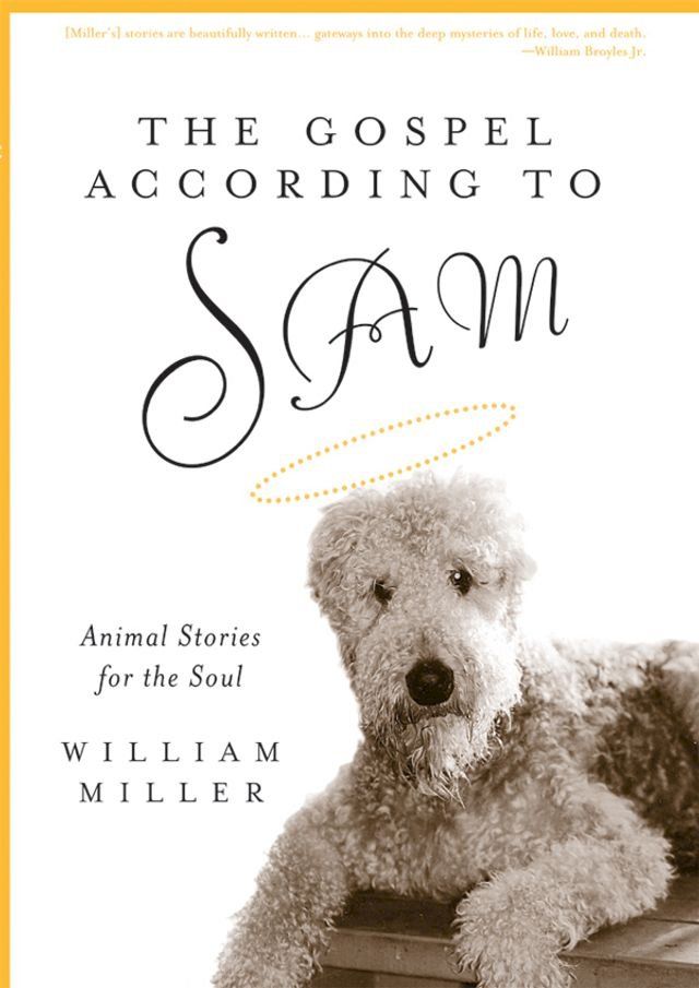  The Gospel According to Sam(Kobo/電子書)