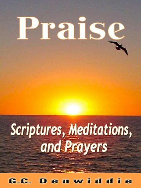 Praise(Kobo/電子書)