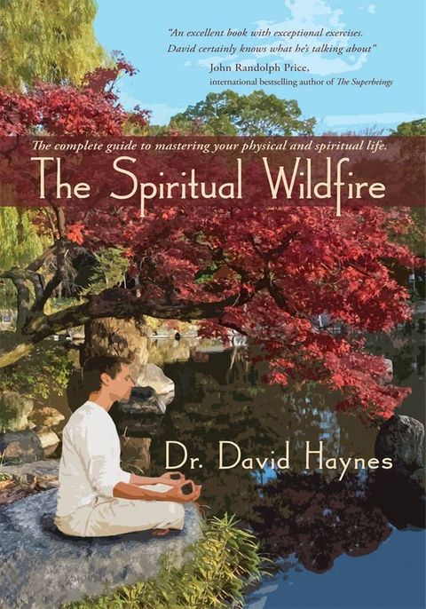 The Spiritual Wildfire(Kobo/電子書)