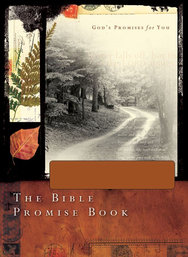  The Bible Promise Book - NLV Gift Edition(Kobo/電子書)