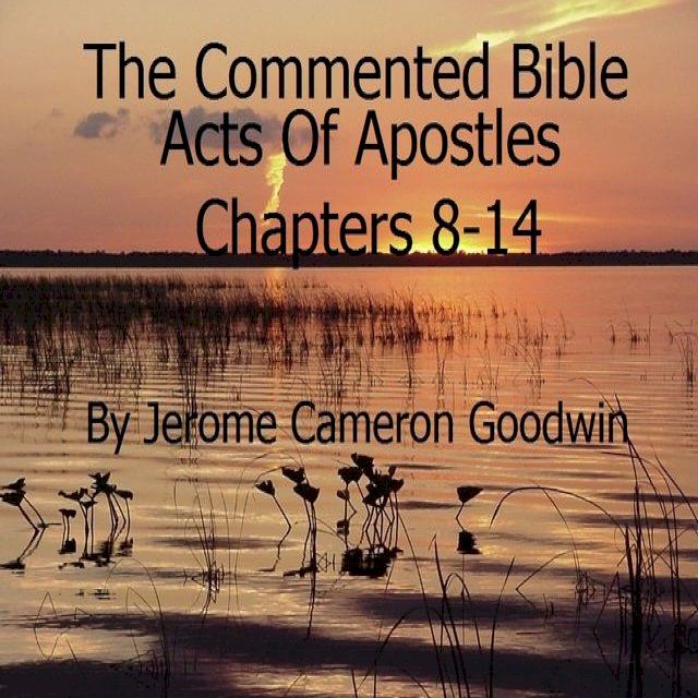  Acts Of Apostles Chapters 8-14(Kobo/電子書)