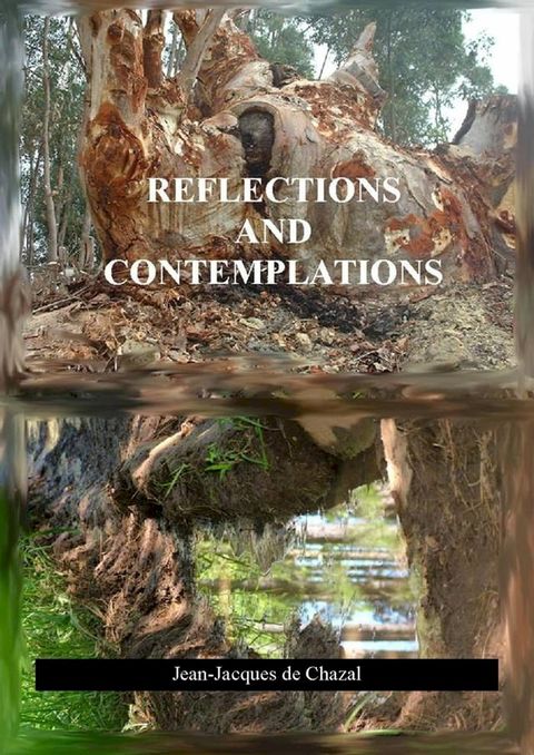 Reflections and Contemplations(Kobo/電子書)