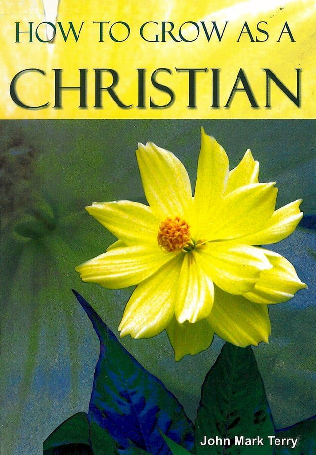  How to Grow as a christian(Kobo/電子書)