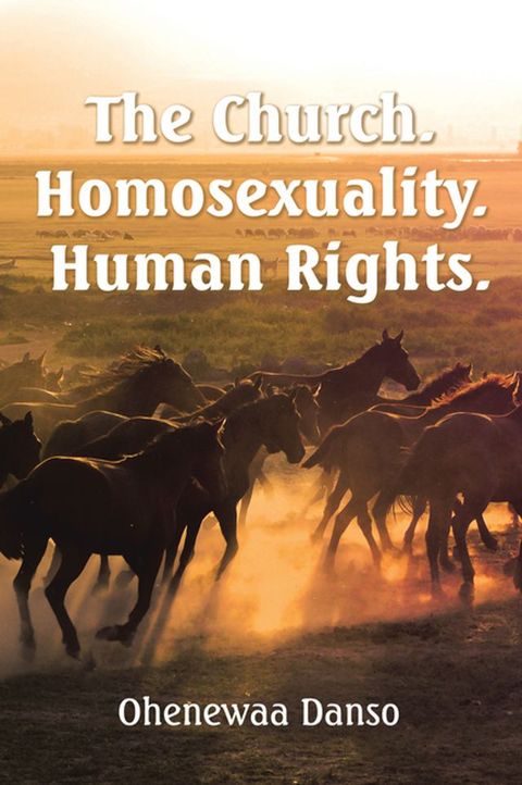 The Church. Homosexuality. Human Rights.(Kobo/電子書)