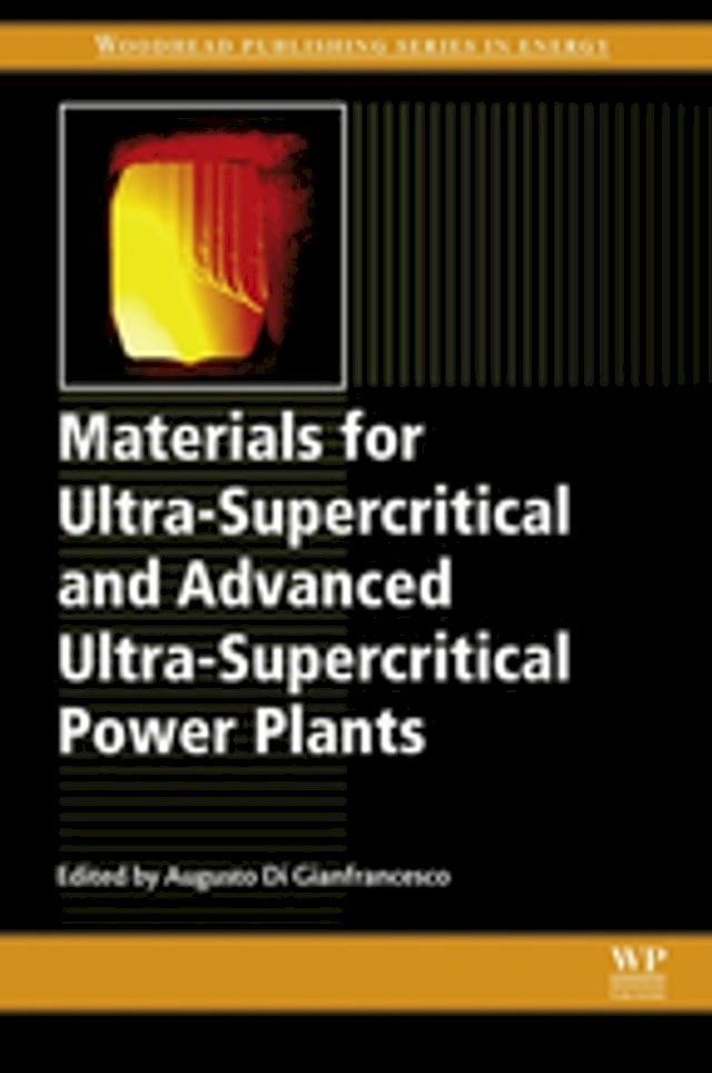  Materials for Ultra-Supercritical and Advanced Ultra-Supercritical Power Plants(Kobo/電子書)