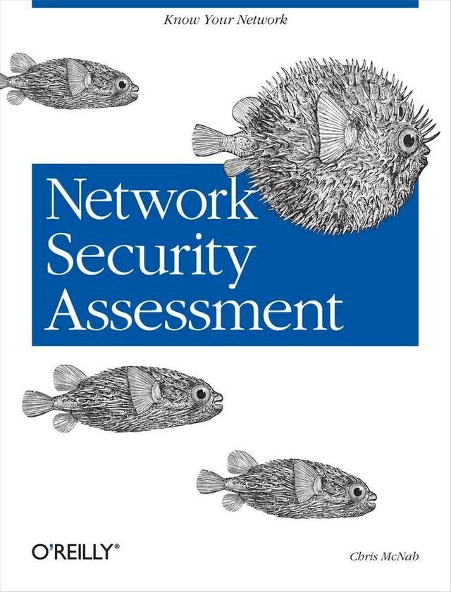  Network Security Assessment(Kobo/電子書)