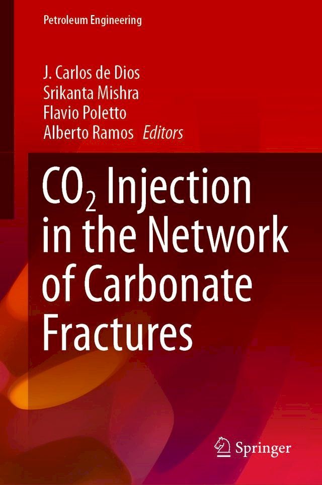  CO2 Injection in the Network of Carbonate Fractures(Kobo/電子書)