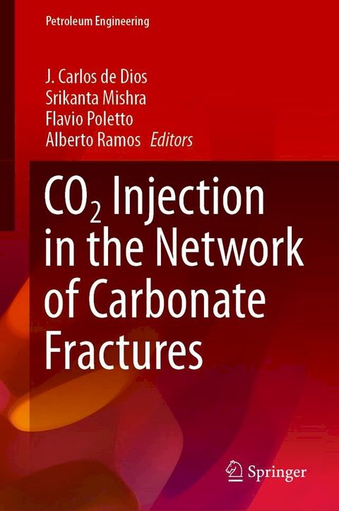 CO2 Injection in the Network of Carbonate Fractures(Kobo/電子書)