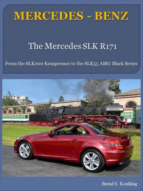 Mercedes-Benz R171 SLK with buyer's guide and VIN/data card explanation(Kobo/電子書)