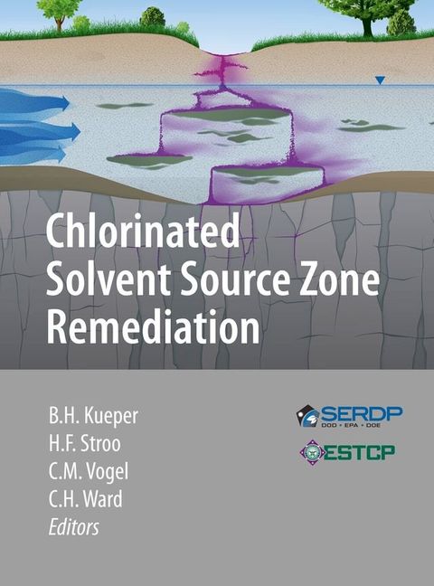 Chlorinated Solvent Source Zone Remediation(Kobo/電子書)