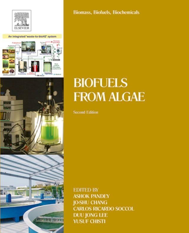  Biomass, Biofuels, Biochemicals(Kobo/電子書)