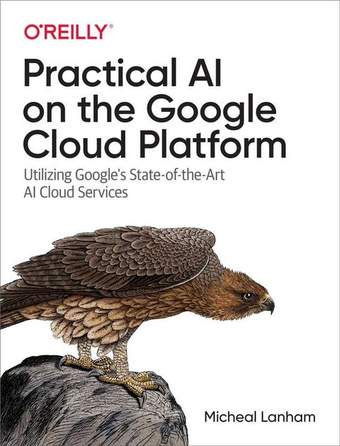 Practical AI on the Google Cloud Platform(Kobo/電子書)