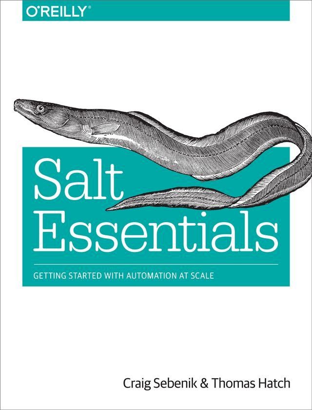  Salt Essentials(Kobo/電子書)