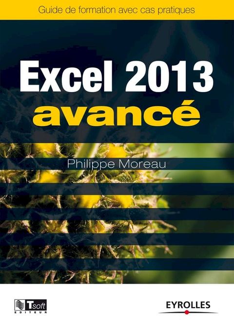 Excel 2013 - Avanc&eacute;(Kobo/電子書)