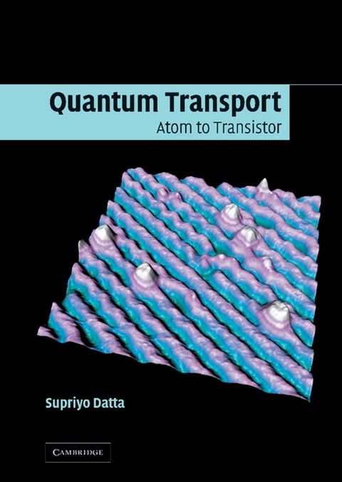 Quantum Transport(Kobo/電子書)