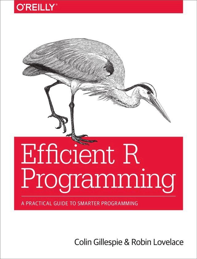  Efficient R Programming(Kobo/電子書)