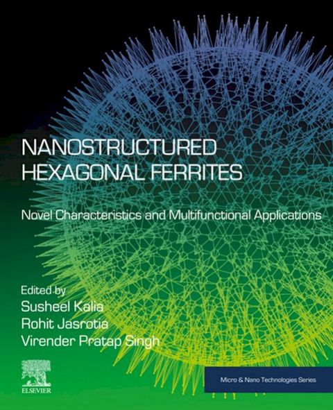 Nanostructured Hexagonal Ferrites(Kobo/電子書)