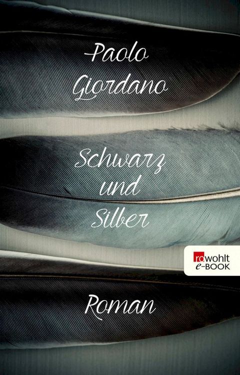 Schwarz und Silber(Kobo/電子書)