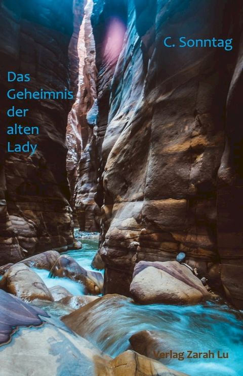 Das Geheimnis der alten Lady(Kobo/電子書)