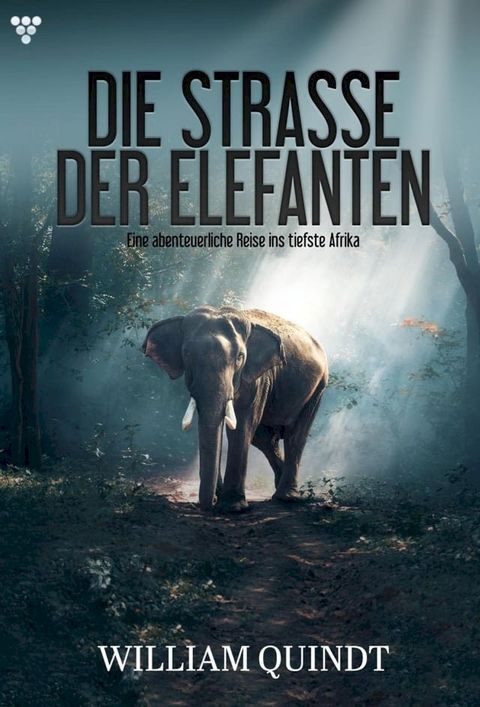 Eine abenteuerliche Reise ins tiefste Afrika(Kobo/電子書)