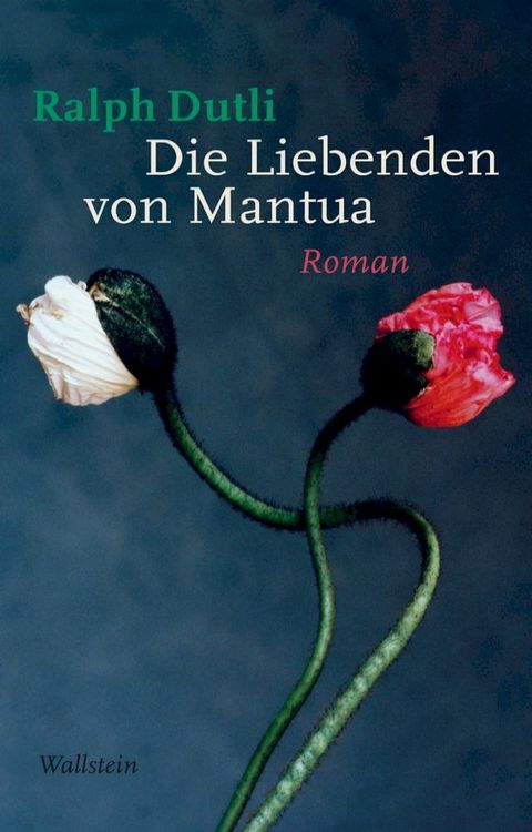 Die Liebenden von Mantua(Kobo/電子書)