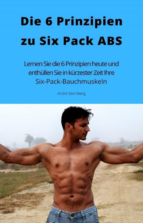 Die 6 Prinzipien zu Six Pack ABS(Kobo/電子書)