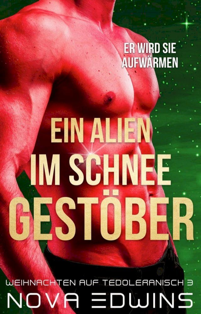  Ein Alien im Schneegestöber(Kobo/電子書)