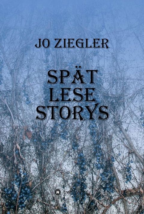 SP&Auml;T LESE STORYS(Kobo/電子書)