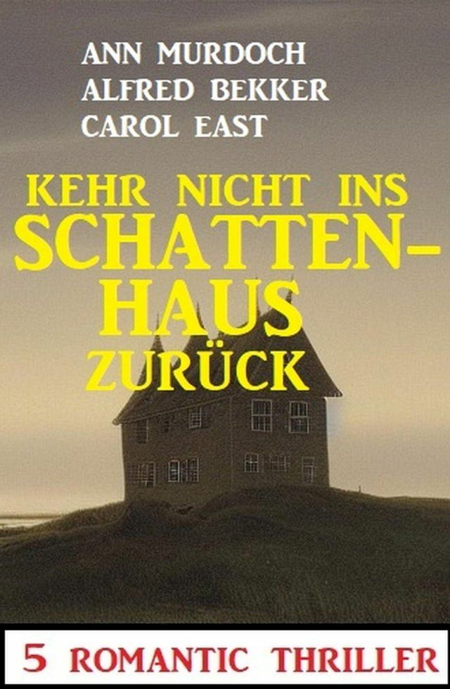  Kehr nicht ins Schattenhaus zurück! 5 Romantic Thriller(Kobo/電子書)