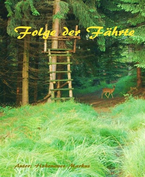 Folge der F&auml;hrte(Kobo/電子書)