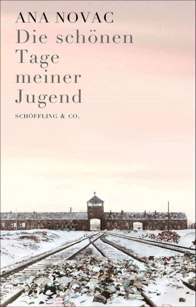  Die sch&ouml;nen Tage meiner Jugend(Kobo/電子書)